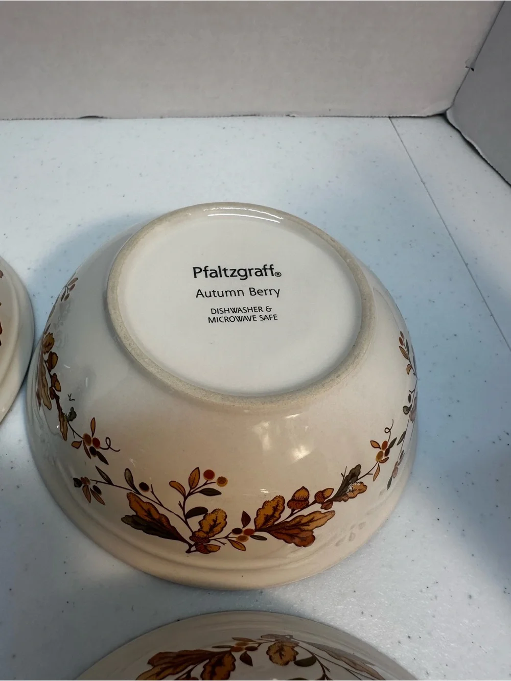 Pfaltzgraff Autumn Berry Set of 4 Soup Cereal Bowls Stoneware Fall Thanksgiving